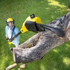 Best Aeration Services  in East Los Angeles, CA